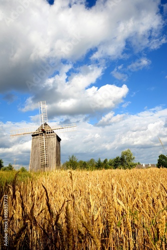 Obraz na płótnie Field of grain old windmill and blue sky with clouds w salonie