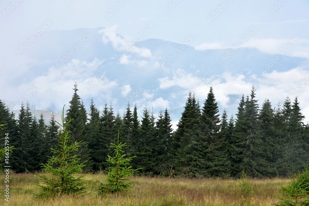 Obraz premium Mountains between white clouds, summer trips