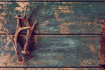 Seasonal stag antlers on rustic timber background