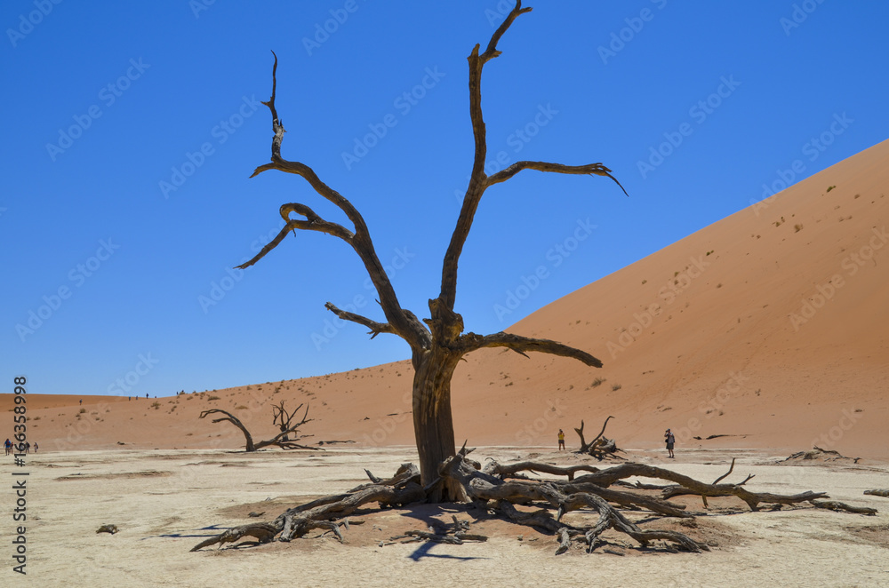 NAMIBIA - Die Sandwüsten und Dünen von Sossusvlei