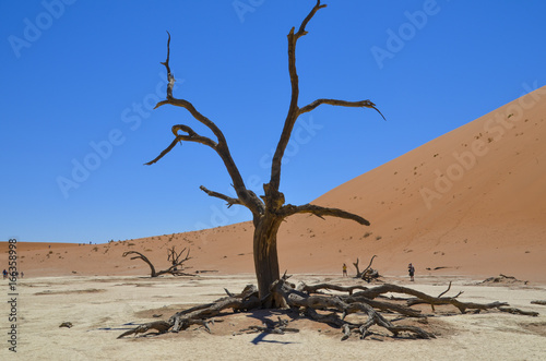 NAMIBIA - Die Sandw  sten und D  nen von Sossusvlei