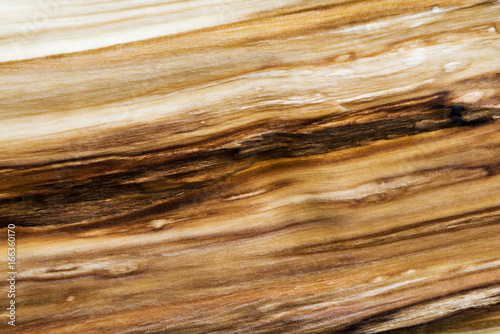 Wallpaper Mural Wood texture (background) Torontodigital.ca