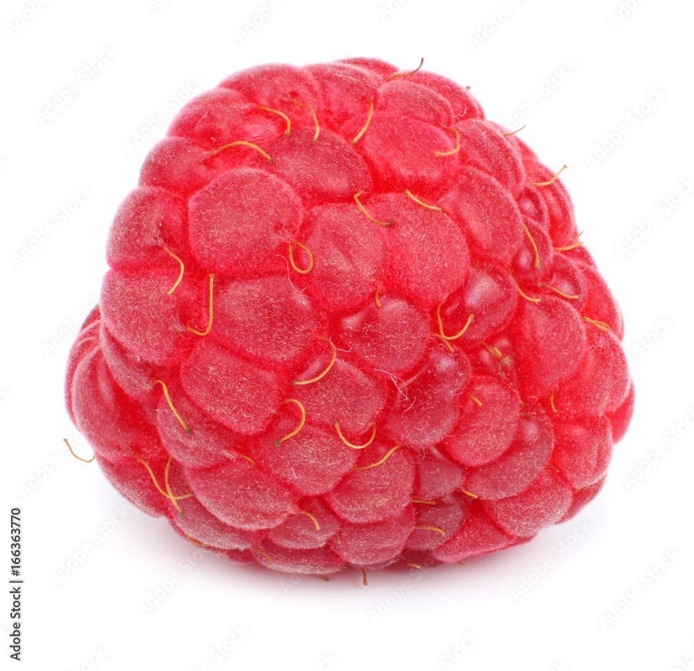 ripe raspberries isolated on white background macro ripe raspberries isolated on white background macro