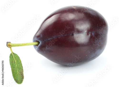 fresh plum fruit isolated on white background