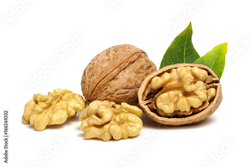 Walnuts with leaves photo