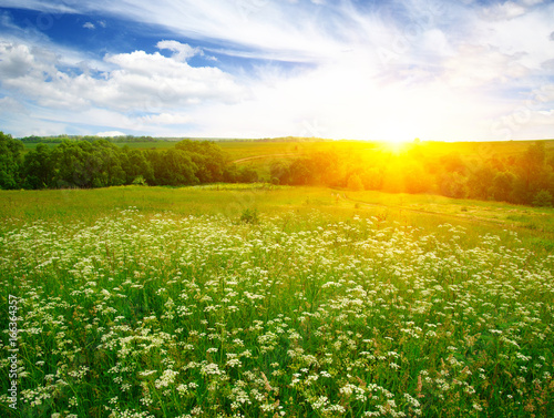  field and sky