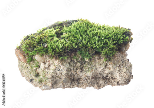 Stone with green mos isolated on white background,The floating island