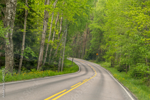 Forest road on a sunny summer day. Finland, Lahti region