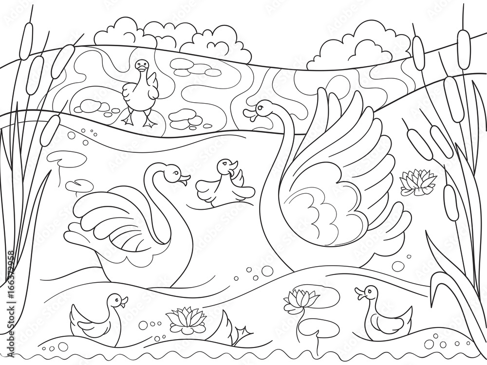 Childrens coloring book cartoon family of Swan on nature. Stock Vector ...