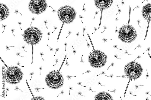 Pattern with hand drawn dandelions, vector. Seamless pattern. There is a swatch in the panel. Elements are not cropped and hidden under mask