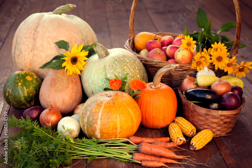 autumn pumpkins