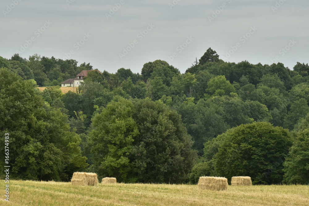 Ballots de foin sur un champs devant l'un des bois du Périgord Vert à Champagne-et-Fontaine