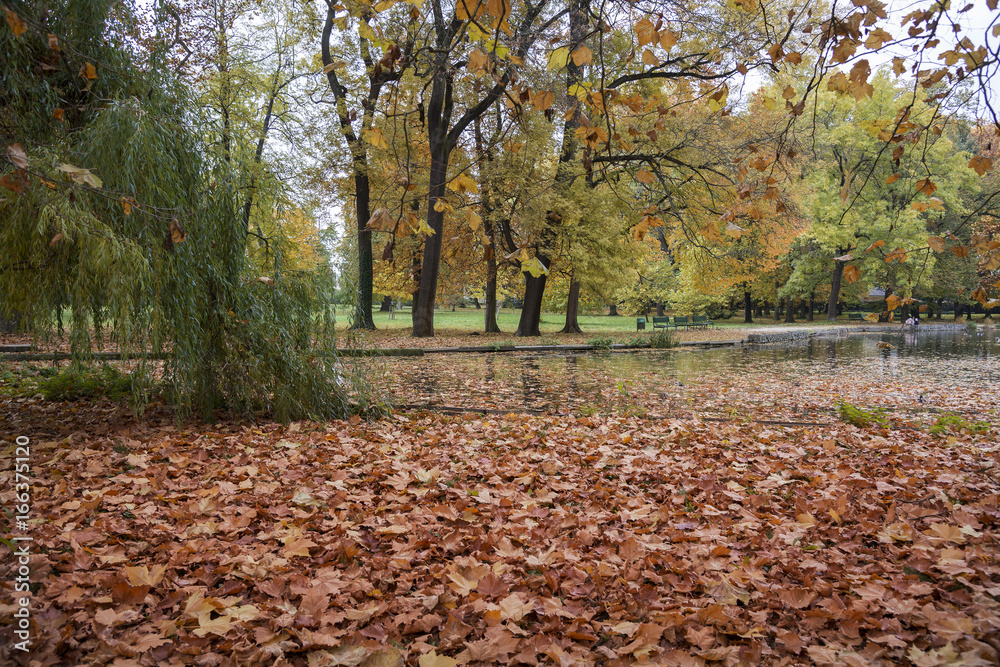 Small lake in the park in the fall with lot of foliage