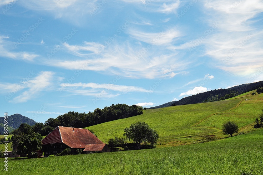 Obraz premium Schwarzwaldhof bei Oberried