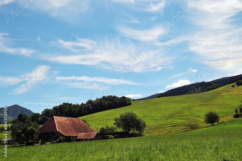 Schwarzwaldhof bei Oberried photo