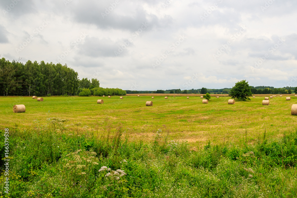 Obraz premium Countryside landscape with hay bales on harvested grain field