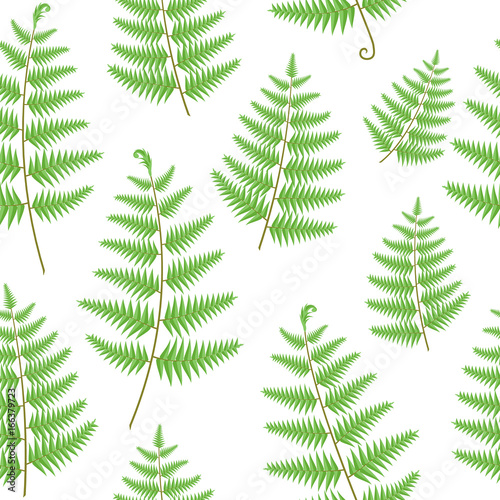 Fern leaves seamless vector pattern