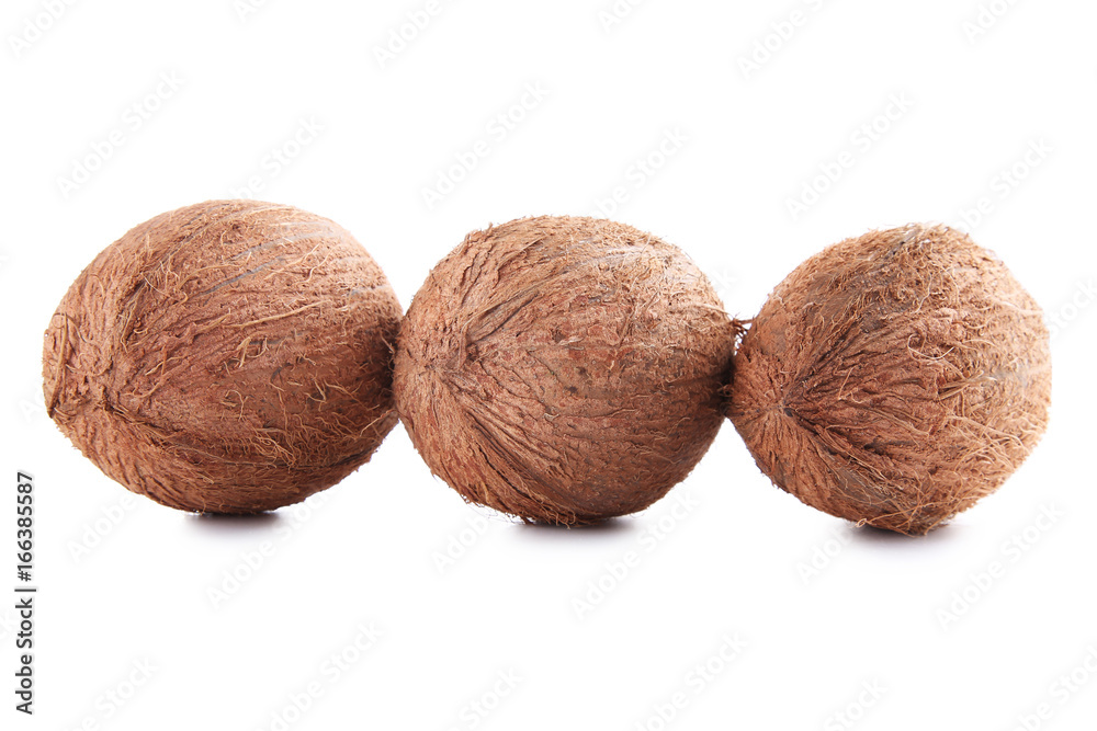 Coconuts isolated on a white background Coconuts isolated on a white background