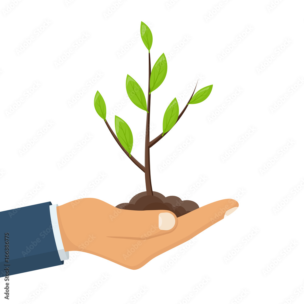 Human hand hold green small tree. Male farmer, gardener hold sprout. Care environmental development. Growing concept. Planting sapling. Vector illustration flat design. Isolated on white background. Human hand hold green small tree. Male farmer, gardener hold sprout. Care environmental development. Growing concept. Planting sapling. Vector illustration flat design. Isolated on white background.