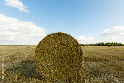 Rural landscapes of Tuscany, Italy, Europe, Rolls of haystacks on the field. Summer farm scenery with haystack on the background of beautiful sunset, Agriculture Concept, Harvest concept