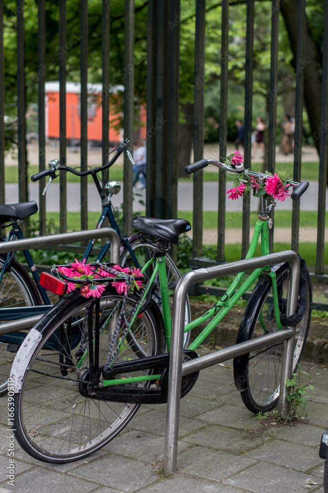 Green bicycle with flowers in Amsterdam