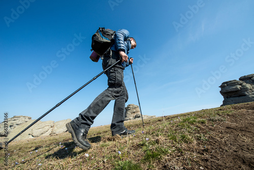 Traveler with trekking sticks and a backpack walks in the mountains