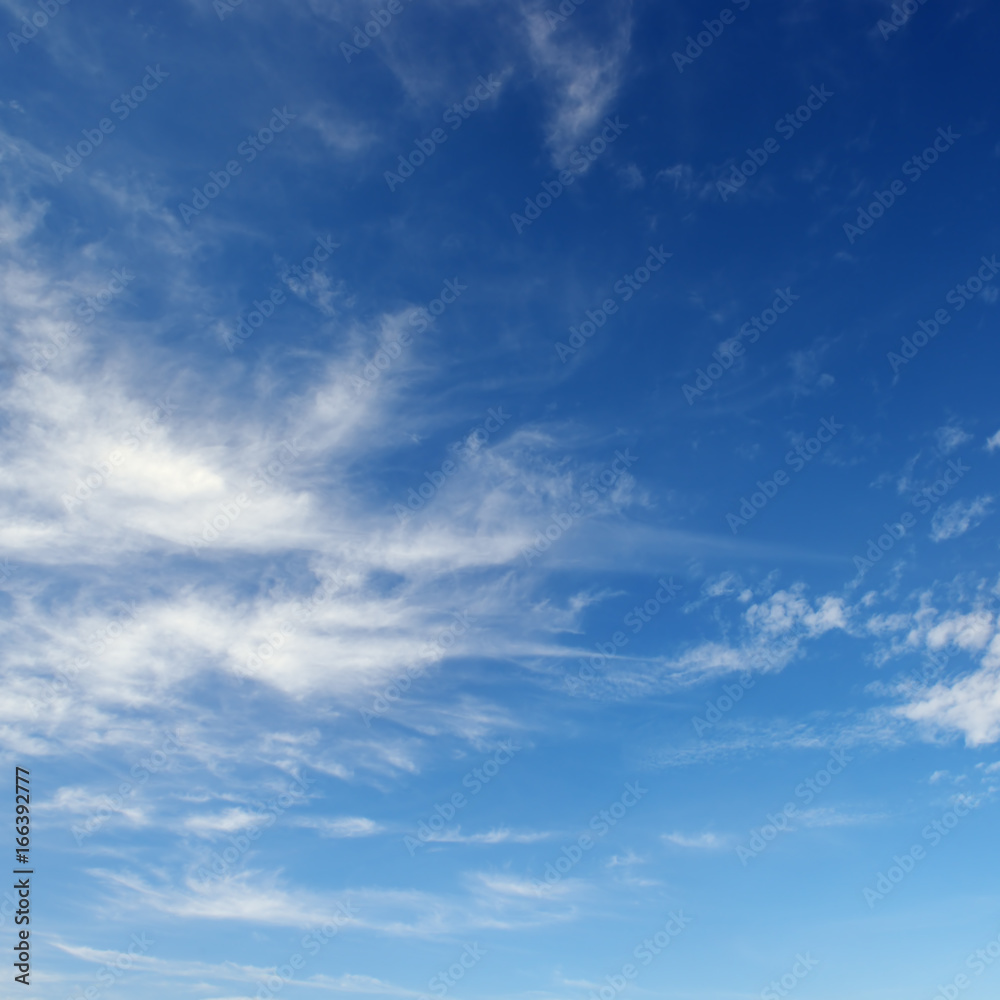 Fototapeta premium White cirrus clouds against the dark blue sky.
