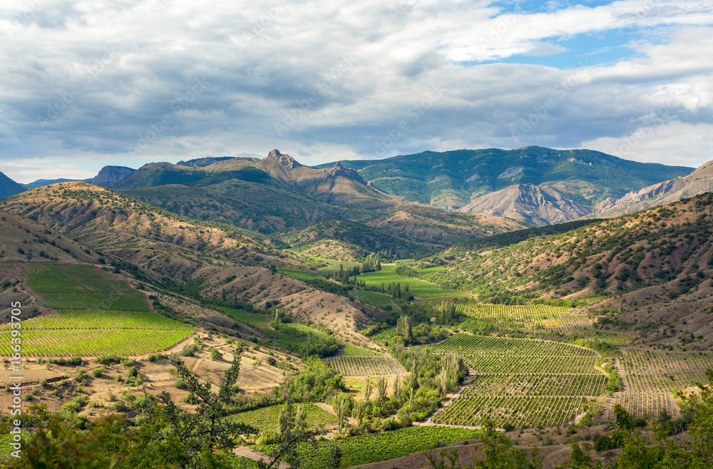 Landscape mountain valley with vineyards at the foot of the valley on a background cloudy sky