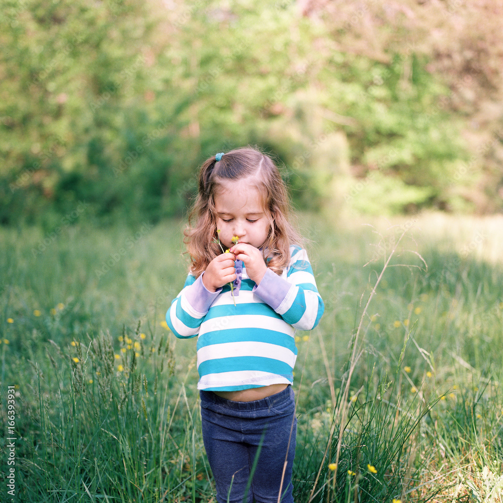 Beautiful young girl playing with a smaller flower in a field Beautiful young girl playing with a smaller flower in a field