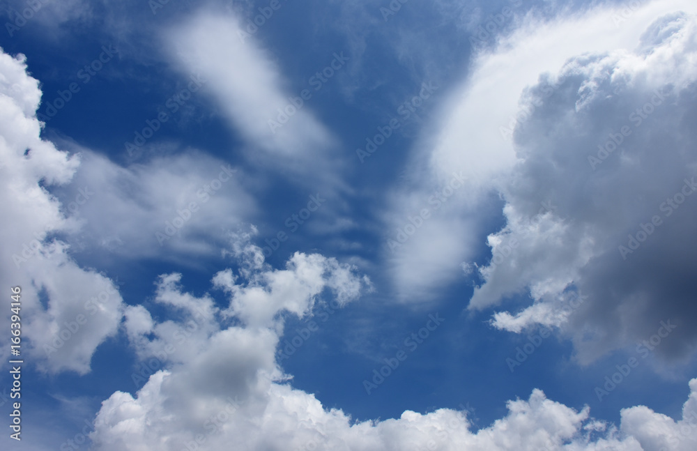美しい光景・青空と雲「空想・雲のモンスターたち」大集結、御前会議、代表者会議、美しい光景などのイメージ