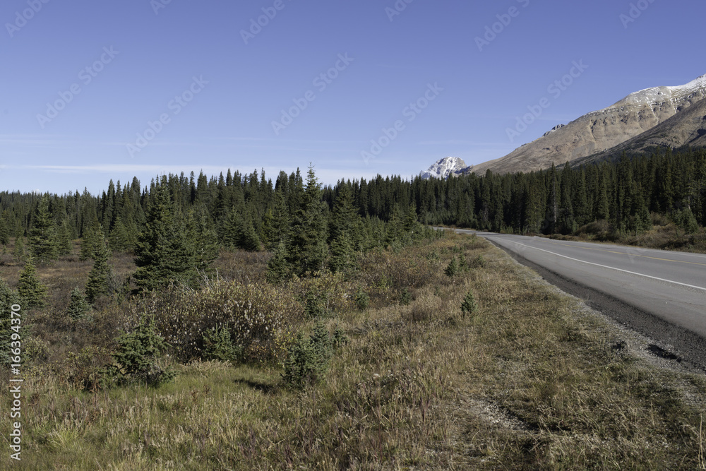 A roadside valley in Banff National Park, Alberta, Canada