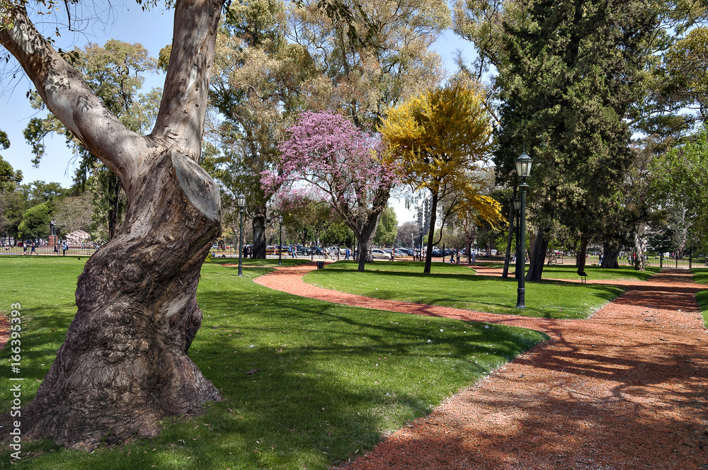 Obraz premium Green gardens