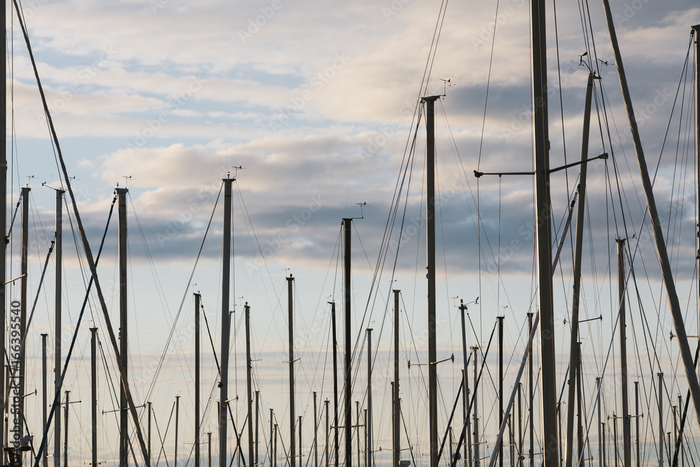 Sailboat masts in marina at dusk, Seattle, WA Sailboat masts in marina at dusk, Seattle, WA