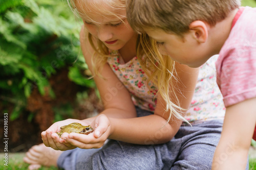 Children look at frog closely while holding it in the garden