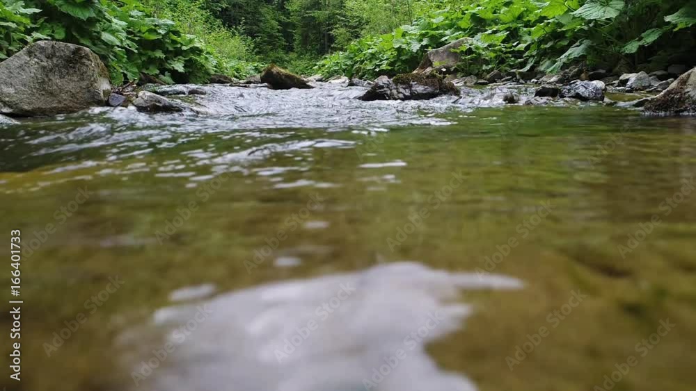 Beautiful river in Carpathian mountains Beautiful river in Carpathian mountains