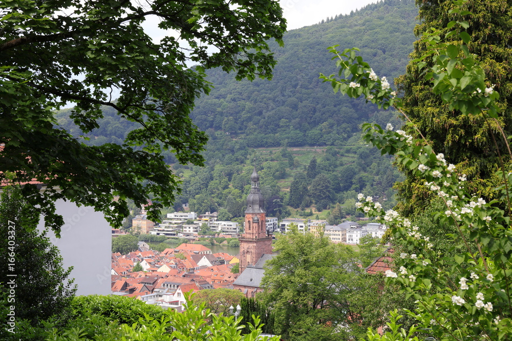 cityscape of Heidelberg Germany
