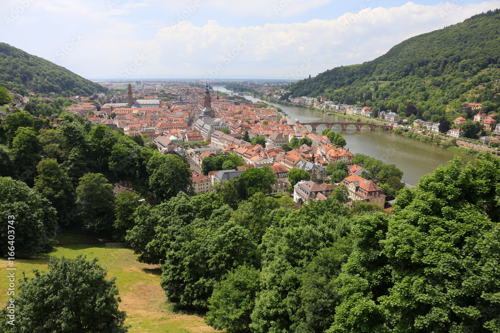 cityscape of Heidelberg Germany