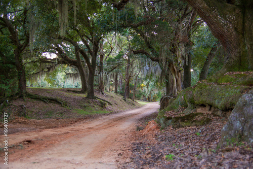 Country Road