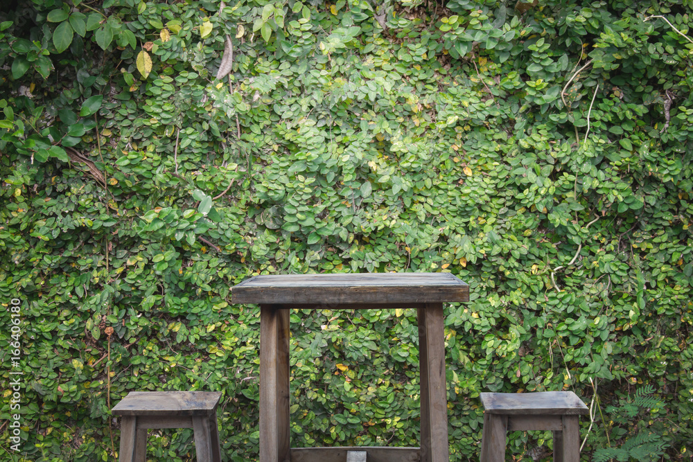 Old wooden table and wooden chairs with ornamental plants or ivy or garden tree for background. Old wooden table and wooden chairs with ornamental plants or ivy or garden tree for background.