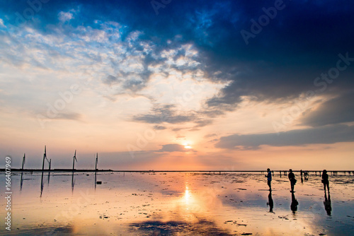高美湿地