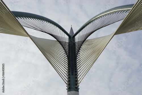 Seri Wawasan Bridge is a cable-stayed bridge