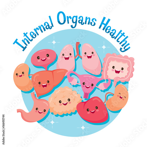 Human Internal Organs, Cartoon Characters Funny Together