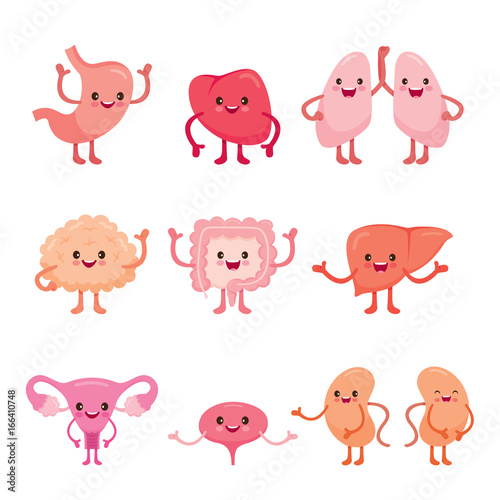 Human Internal Organs, Cartoon Characters Set