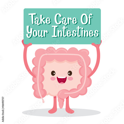 Intestines, Human Internal Organ, Cartoon Character