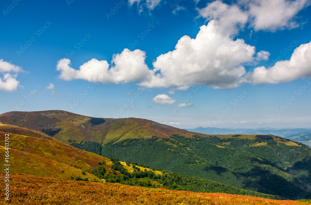 mountain hillsides in late summer