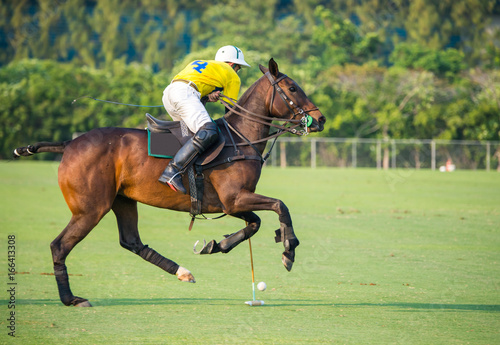 The rare image, The polo horse player hit the polo ball in the match.While horseshoes are about to fall off the horse's feet.
