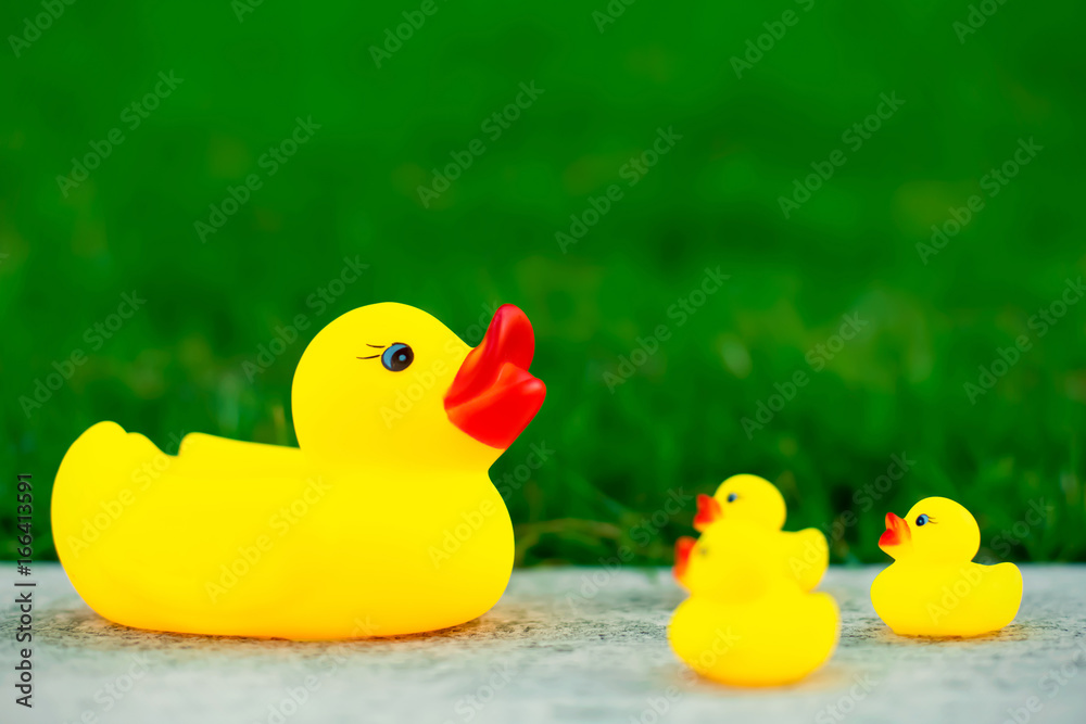 Rubber toy mother duck talks with childs against green grass