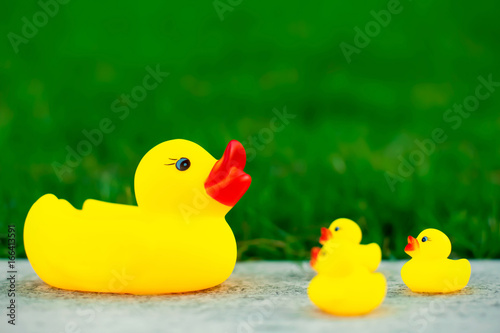 Rubber toy mother duck talks with childs against green grass