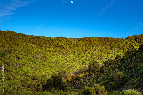 Volcanic crater with fluor green vegetation and moon