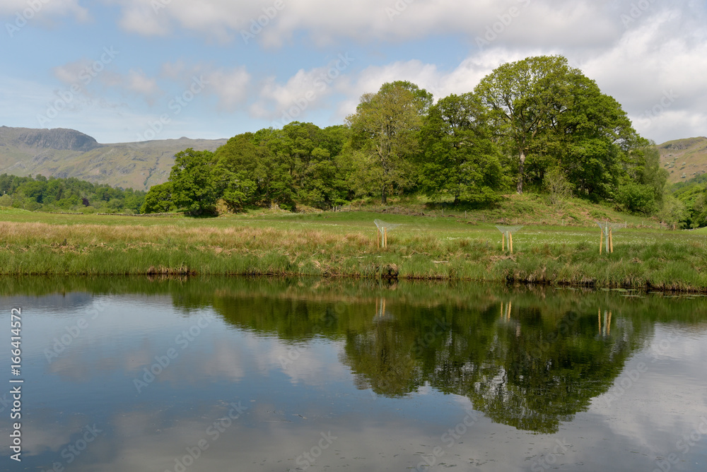 Langdale Pikes reflected in River Brathay, English Lake District